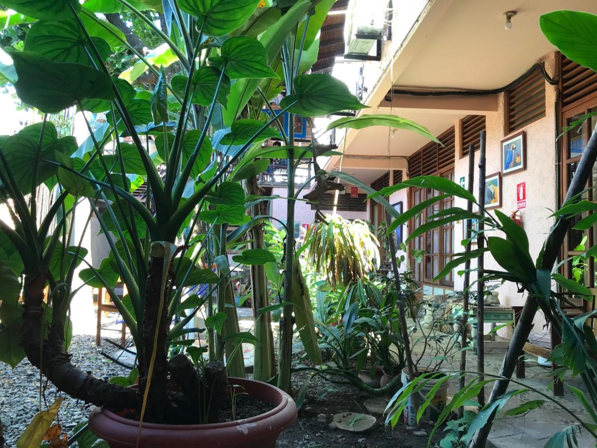 Casa De Palos Boutique Тарапото Екстериор снимка